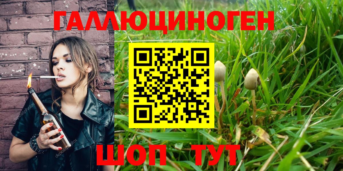 Галлюциногенные грибы Psilocybine cubensis  Галлюциногенные грибы Psilocybe  Владикавказ  Вход с VPN 